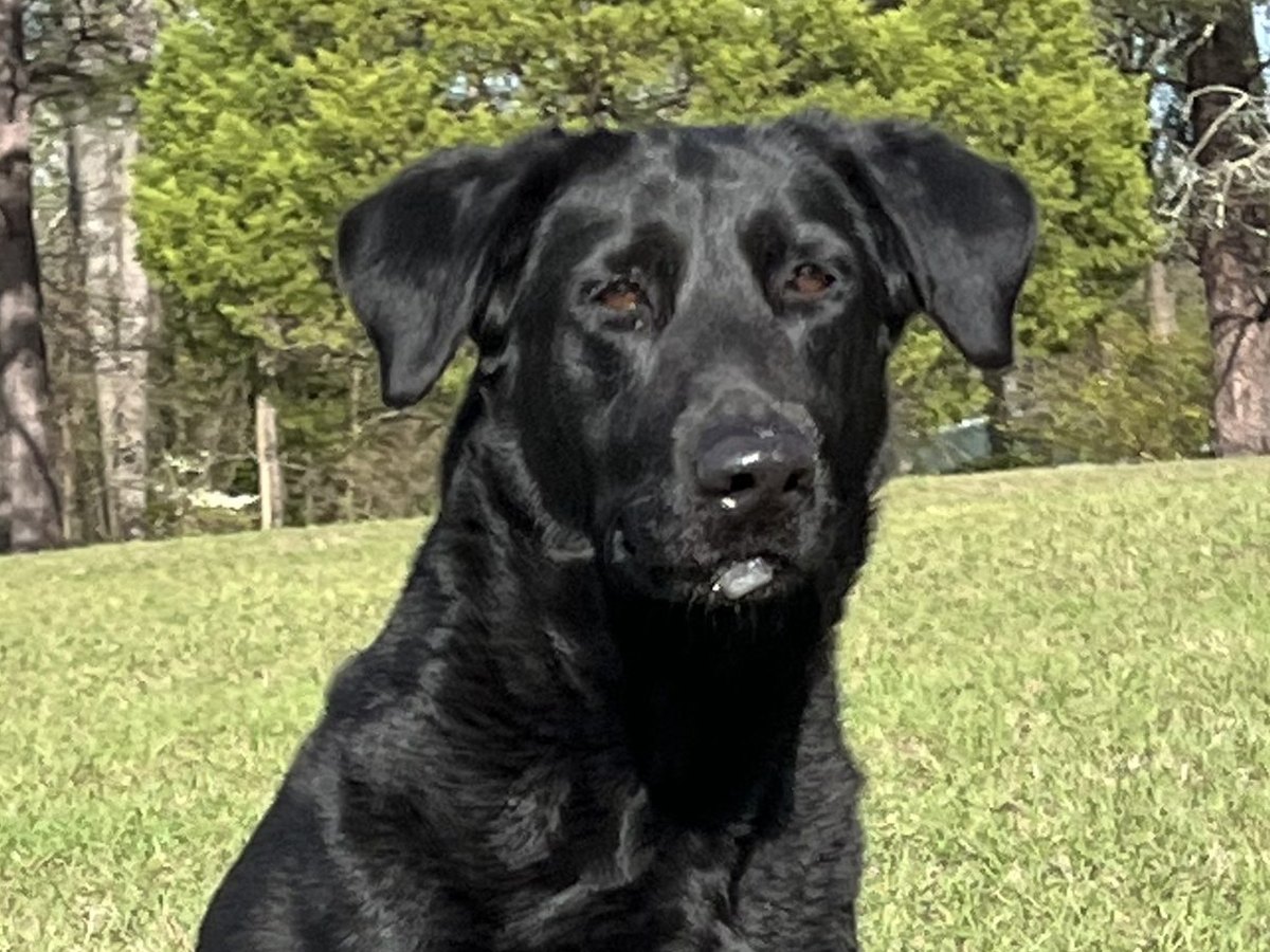 Dakota