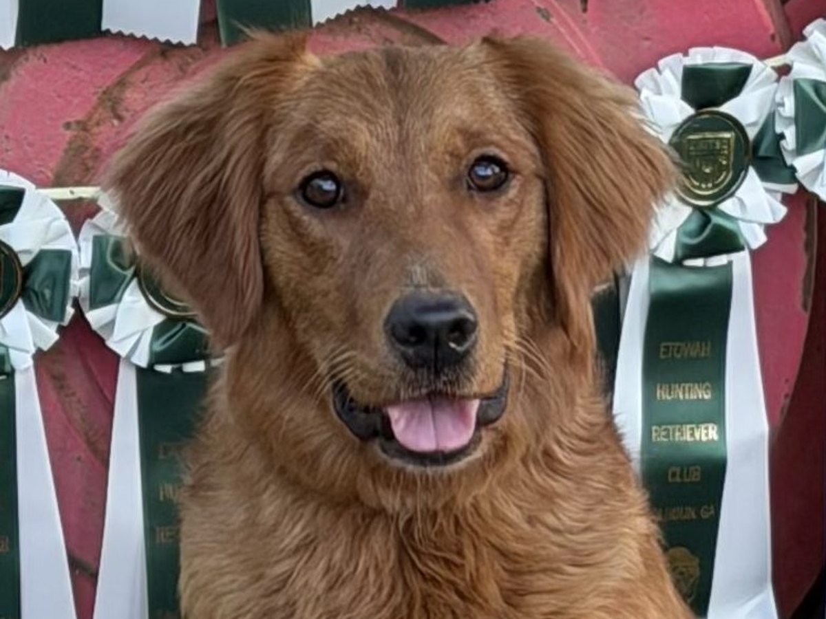 Reba